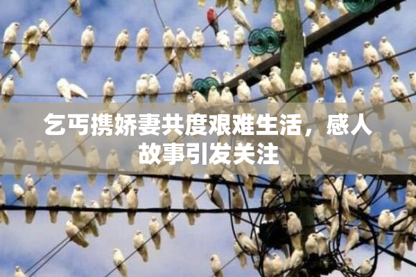 乞丐携娇妻共度艰难生活，感人故事引发关注