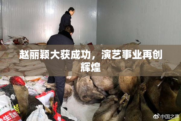 赵丽颖大获成功，演艺事业再创辉煌