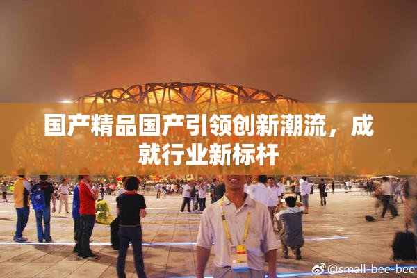 国产精品国产引领创新潮流，成就行业新标杆