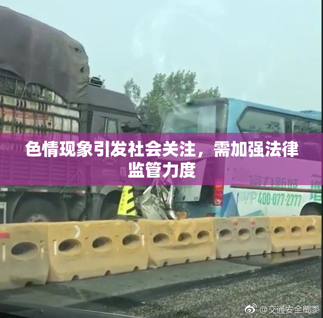 色情现象引发社会关注，需加强法律监管力度