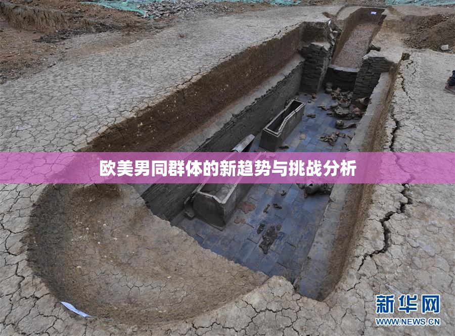 欧美男同群体的新趋势与挑战分析