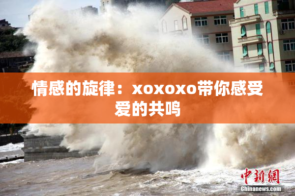 情感的旋律：xoxoxo带你感受爱的共鸣