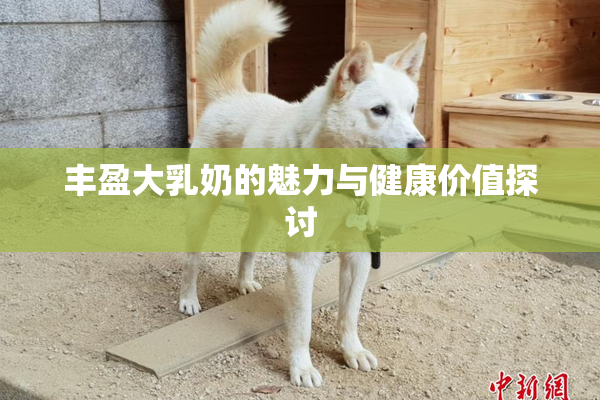 丰盈大乳奶的魅力与健康价值探讨