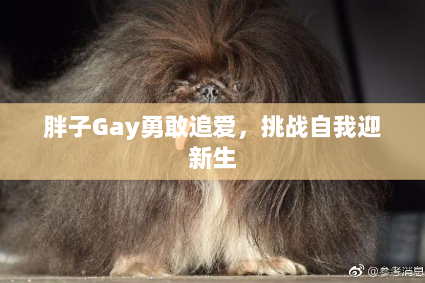 胖子Gay勇敢追爱，挑战自我迎新生