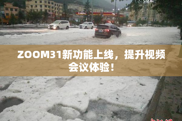 ZOOM31新功能上线，提升视频会议体验！