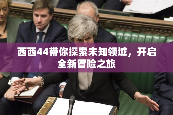 西西44带你探索未知领域，开启全新冒险之旅