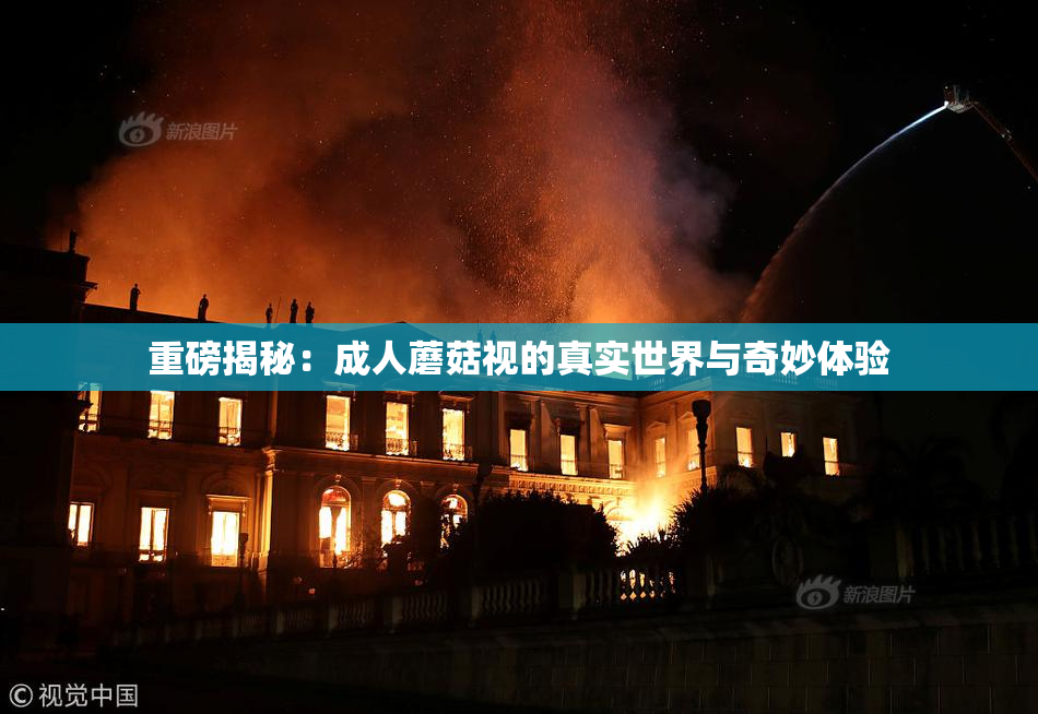 重磅揭秘：成人蘑菇视的真实世界与奇妙体验