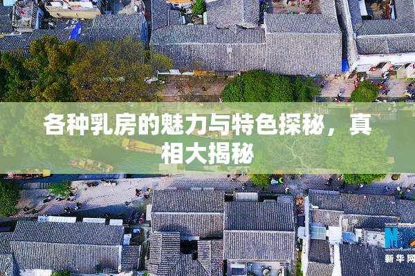 各种乳房的魅力与特色探秘，真相大揭秘
