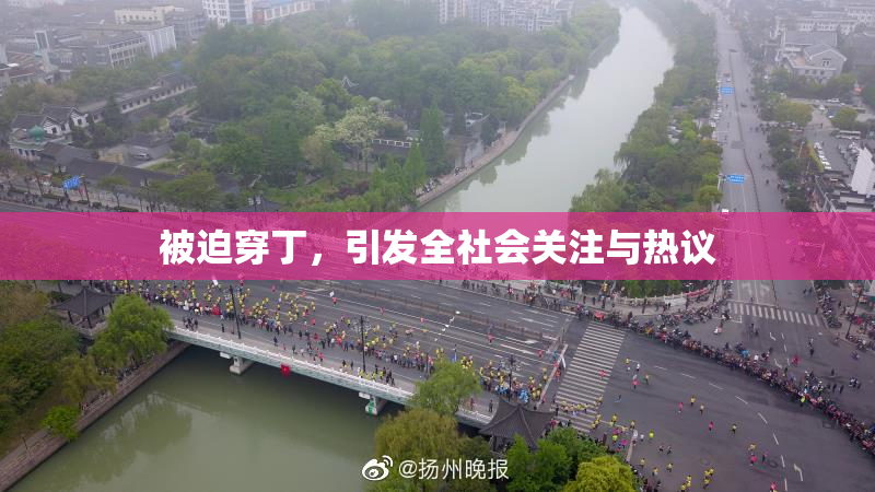 被迫穿丁，引发全社会关注与热议