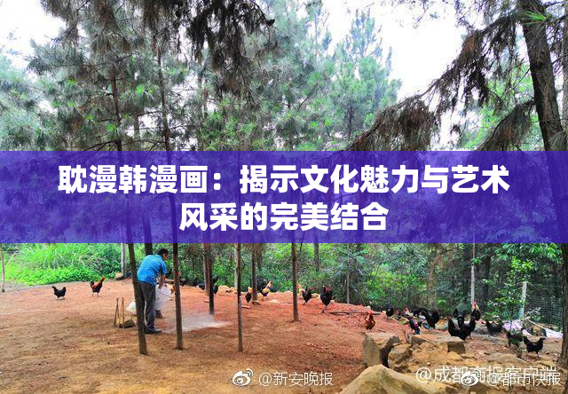 耽漫韩漫画：揭示文化魅力与艺术风采的完美结合