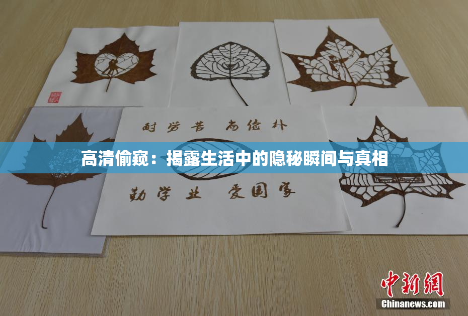 高清偷窥：揭露生活中的隐秘瞬间与真相