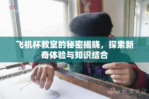 飞机杯教室的秘密揭晓，探索新奇体验与知识结合