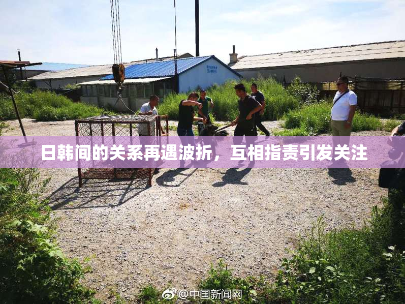 日韩间的关系再遇波折，互相指责引发关注