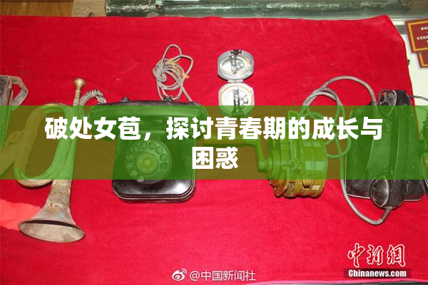 破处女苞，探讨青春期的成长与困惑