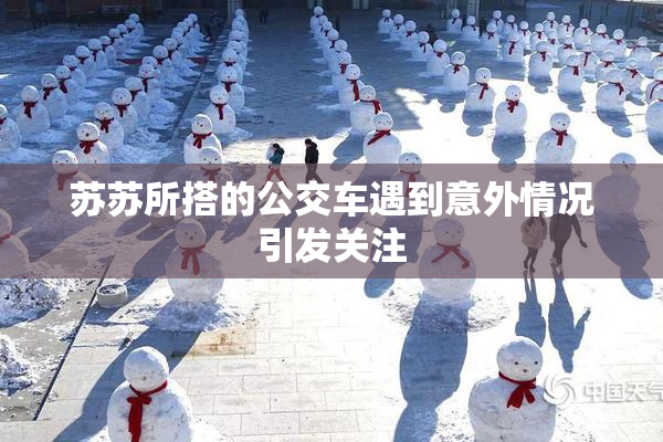 苏苏所搭的公交车遇到意外情况引发关注