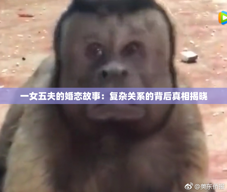 一女五夫的婚恋故事：复杂关系的背后真相揭晓