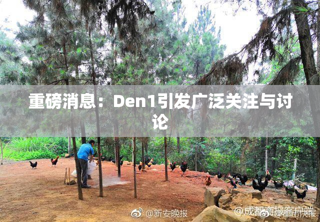 重磅消息：Den1引发广泛关注与讨论