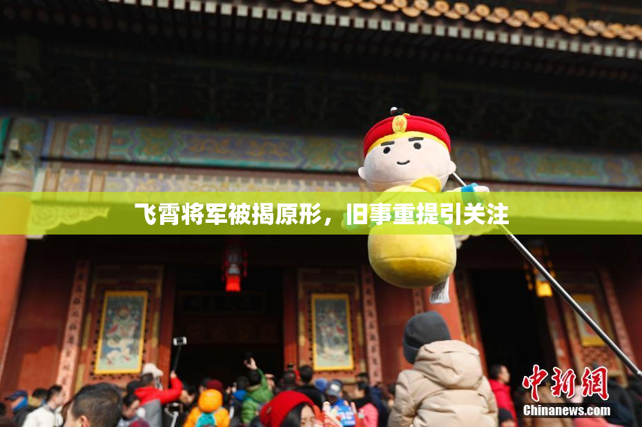 飞霄将军被揭原形，旧事重提引关注