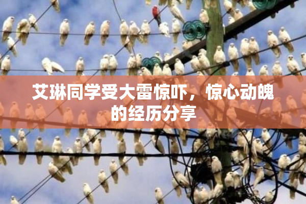 艾琳同学受大雷惊吓，惊心动魄的经历分享