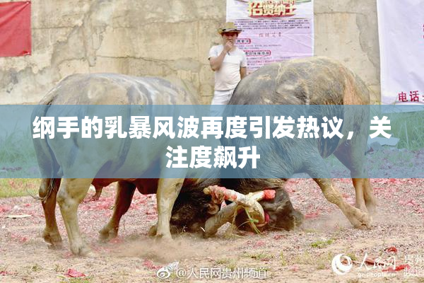 纲手的乳暴风波再度引发热议，关注度飙升