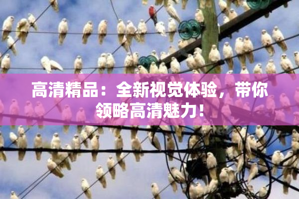 高清精品：全新视觉体验，带你领略高清魅力！