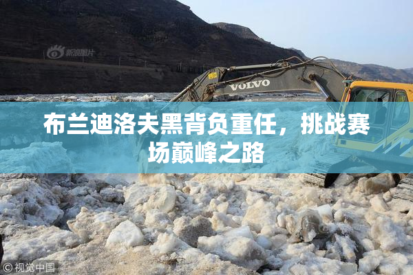 布兰迪洛夫黑背负重任，挑战赛场巅峰之路