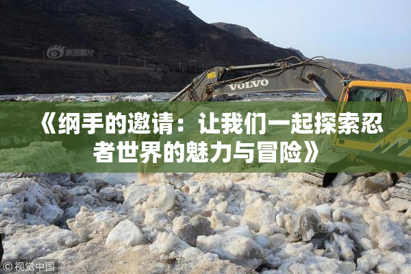 《纲手的邀请：让我们一起探索忍者世界的魅力与冒险》