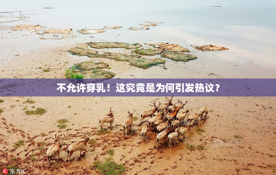 不允许穿乳！这究竟是为何引发热议？