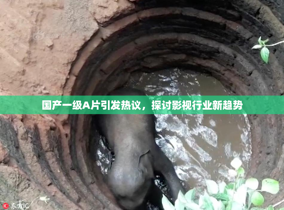 国产一级A片引发热议，探讨影视行业新趋势