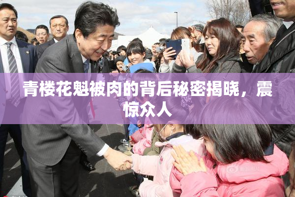 青楼花魁被肉的背后秘密揭晓，震惊众人