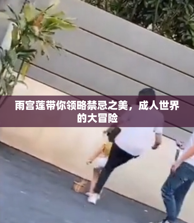 雨宫莲带你领略禁忌之美，成人世界的大冒险
