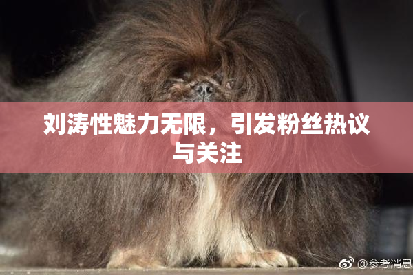 刘涛性魅力无限，引发粉丝热议与关注