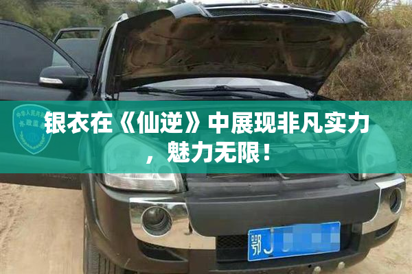 银衣在《仙逆》中展现非凡实力，魅力无限！