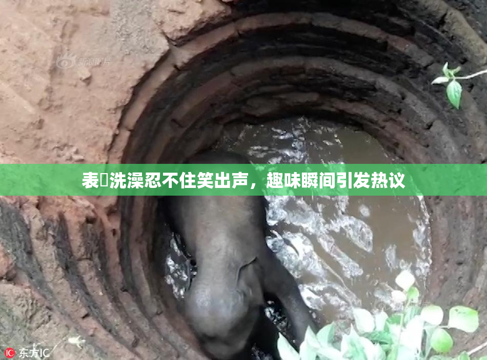 表妺洗澡忍不住笑出声，趣味瞬间引发热议