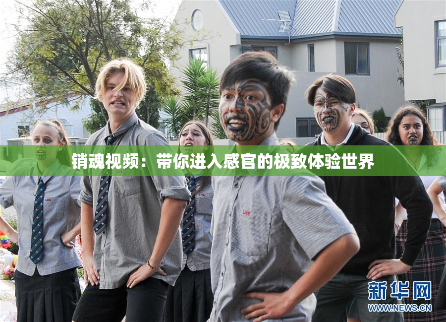 销魂视频：带你进入感官的极致体验世界