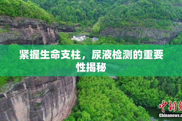 紧握生命支柱，尿液检测的重要性揭秘