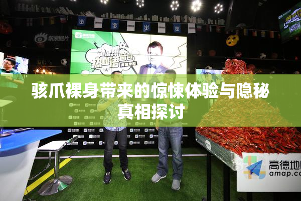 骇爪裸身带来的惊悚体验与隐秘真相探讨
