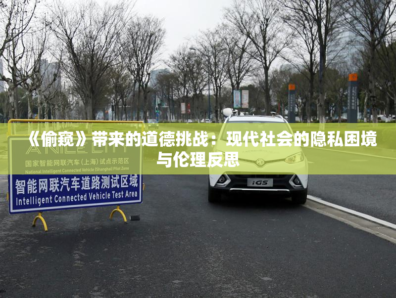 《偷窥》带来的道德挑战：现代社会的隐私困境与伦理反思
