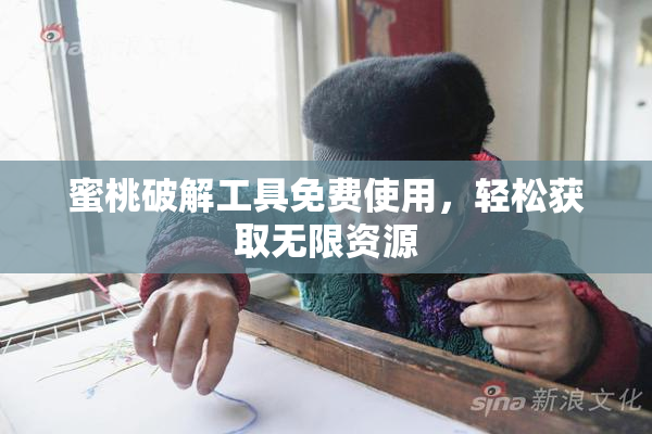 蜜桃破解工具免费使用，轻松获取无限资源