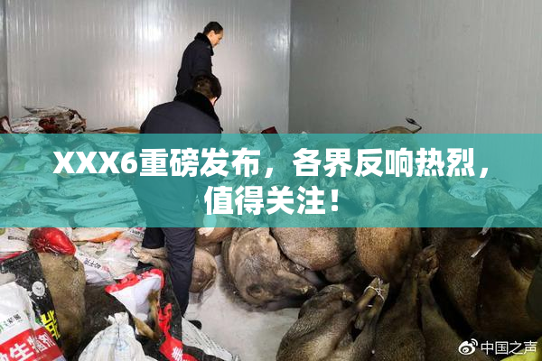 XXX6重磅发布，各界反响热烈，值得关注！