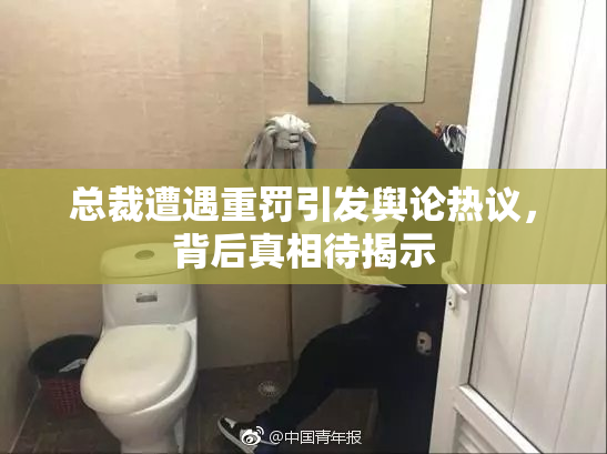 总裁遭遇重罚引发舆论热议，背后真相待揭示