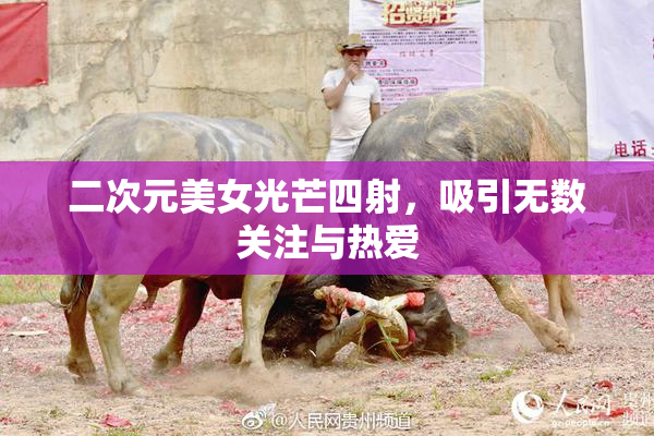 二次元美女光芒四射，吸引无数关注与热爱
