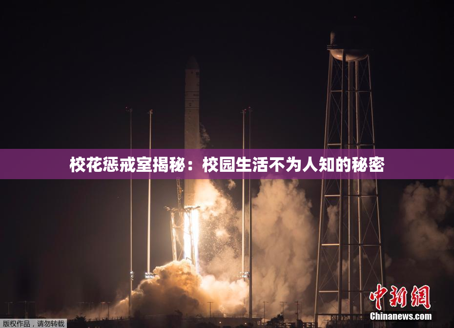 校花惩戒室揭秘：校园生活不为人知的秘密