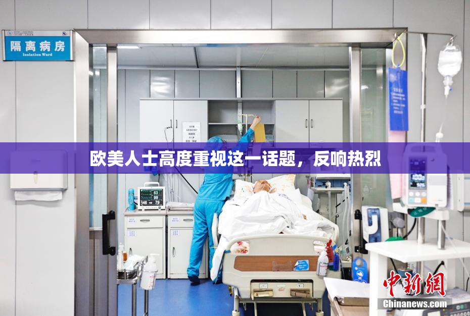 欧美人士高度重视这一话题，反响热烈