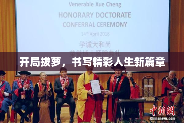 开局拔萝，书写精彩人生新篇章