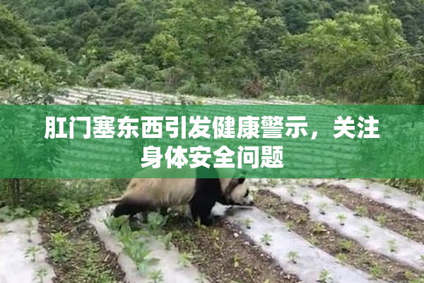 肛门塞东西引发健康警示，关注身体安全问题
