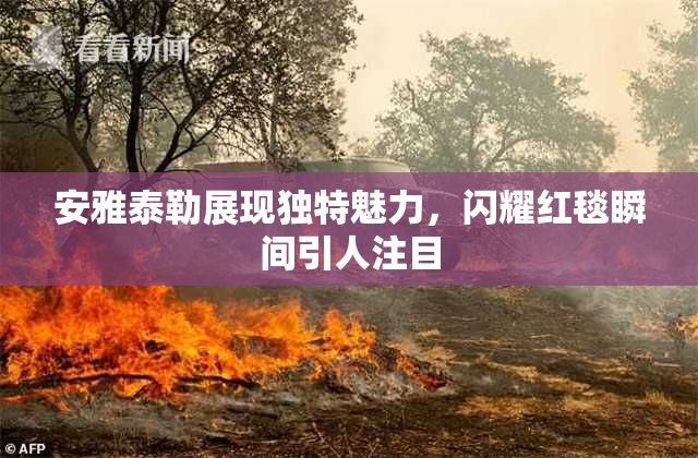 安雅泰勒展现独特魅力，闪耀红毯瞬间引人注目