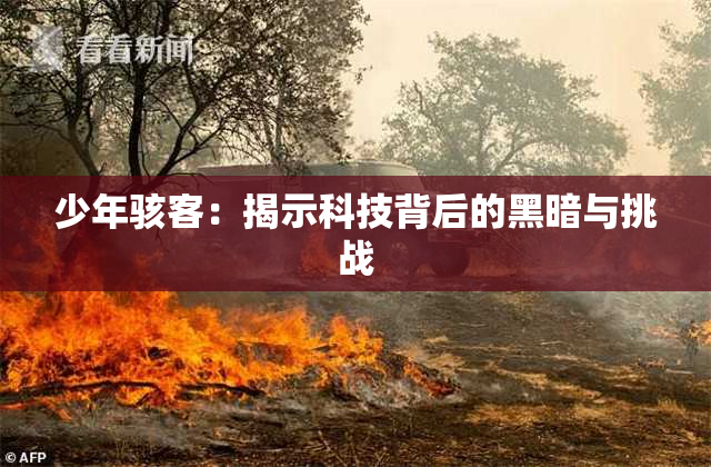 少年骇客：揭示科技背后的黑暗与挑战