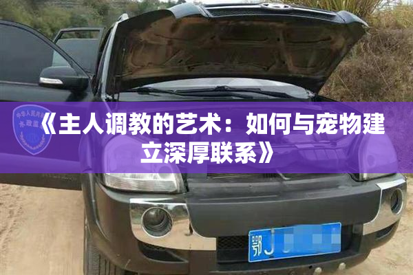 《主人调教的艺术：如何与宠物建立深厚联系》