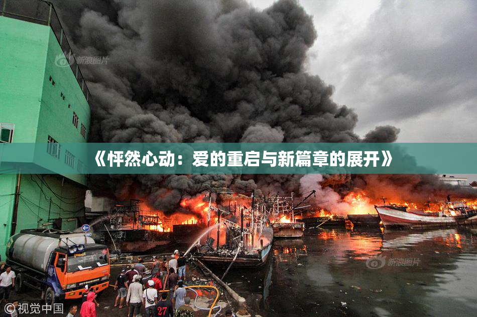 《怦然心动：爱的重启与新篇章的展开》